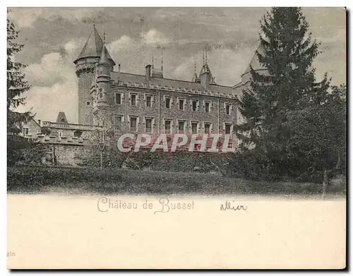 Cartes postales Chateau de Busset