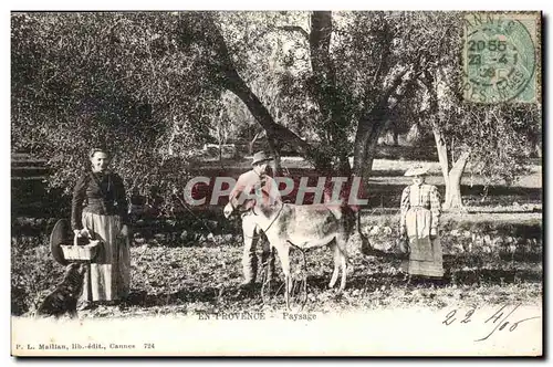 En Provence - ane - donkey - Cartes postales
