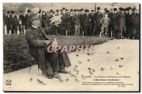 Cartes postales Paris Charmeur d&#39oiseaux aux Tuileries Louvre L&#39extreme confiance ! TOP Folklore Petits Me