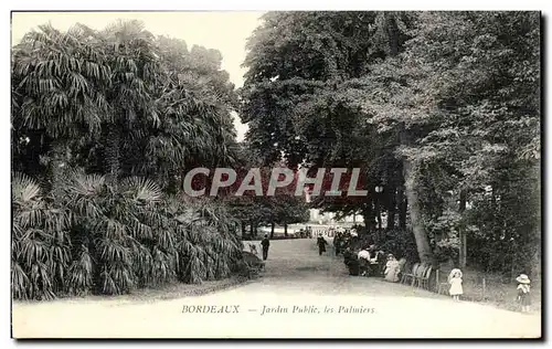 Bordeaux - Jardin Public Les Palmiers - Cartes postales