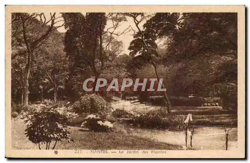 Nantes Ansichtskarte AK le jardin des plantes