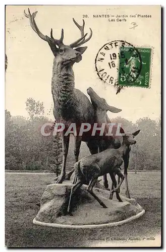 Nantes Cartes postales JArdin des plantes Les cerfs