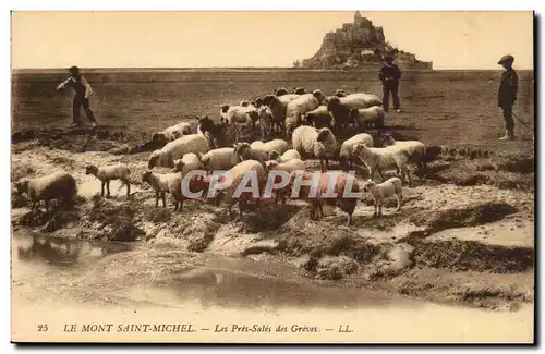 Mont saint Michel Ansichtskarte AK Les pres des greves Moutons