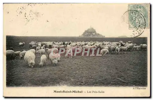 Mont saint Michel Ansichtskarte AK Les pres sales (moutons)