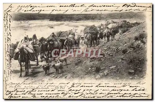 Ansichtskarte AK Caravane du Cai Ben Ganah (chameau dromadaire camael) Algerie Algeria