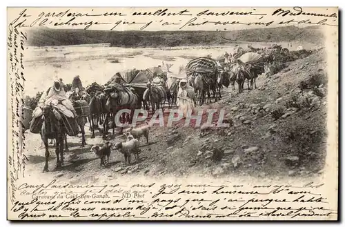 Cartes postales Caravane du Cai Ben Ganah (chameau dromadaire camael) Algerie Algeria