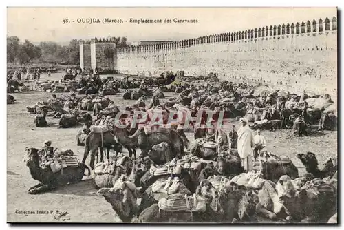 Maroc Oudja Ansichtskarte AK Emplacement des caravanes (chameau dromadaire camel)