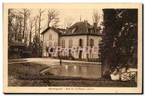 Montilgnon Ansichtskarte AK Vue du chateau Larive