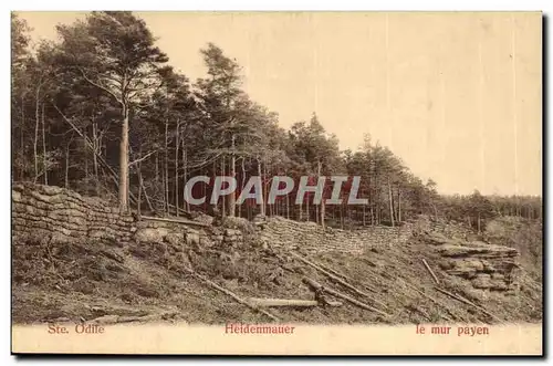 Sainte Odile- Heidenmauer- le mur payen -Cartes postales