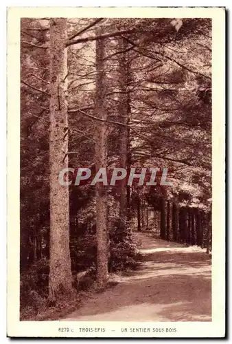 Trois-Epis- Un Sentier Sous-Bois -Cartes postales