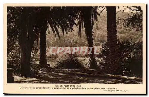 Cartes postales Ile de Port Cros Parc de l&#39hostellerie provencale