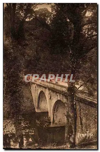 Cartes postales Region de Fontenay le Comte Foret de Mervent Vouvant Le pont de Diet