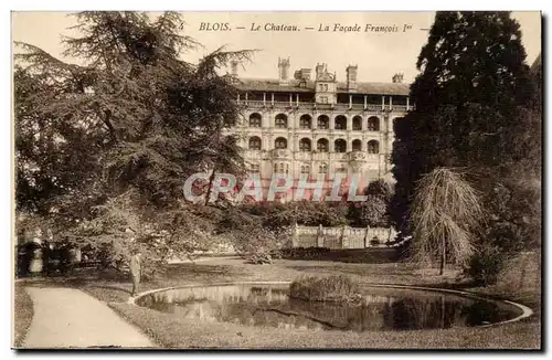 Blois - Le Chateau - la facade Francois Ier - Ansichtskarte AK