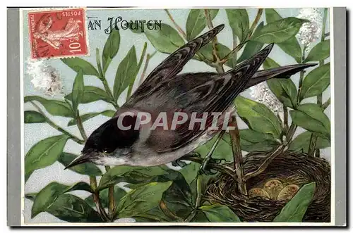 Oiseaux - La fauvette a Tete Noire - Le Cacoa Van Huten - Cartes postales