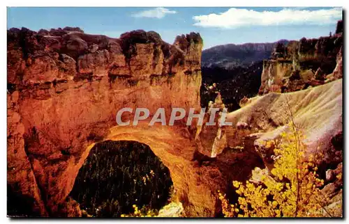 Etats - Unis - USA - Bryce Canyon - National Park - Natural Bridge - Cartes postales