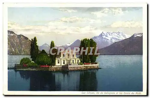 Ansichtskarte AK Lac Leman ile de Salagnon et les dents du midi