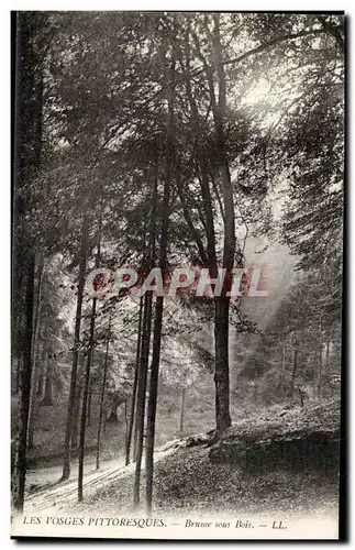 Les Vosges Cartes postales Brume sous bois