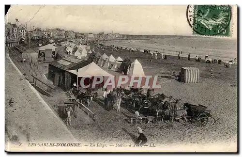 SAbles d'olonne Cartes postales La plage (ane donkey)