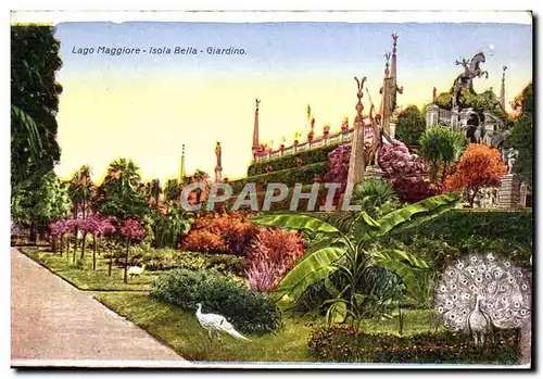 Italie - Italy - Lago Maggiore - Isola Bela - Giardino -Cartes postales