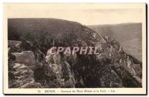 Mende Ansichtskarte AK Sommet du Mont Mimat et la foret