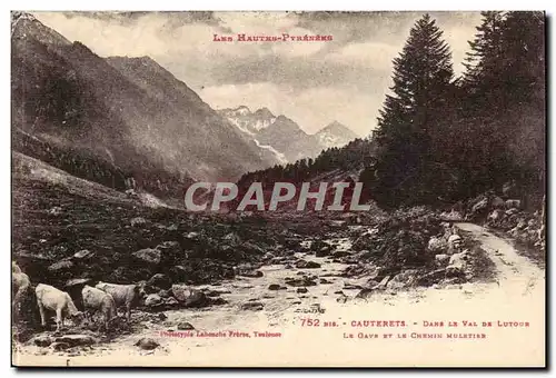 Cauterets Ansichtskarte AK DAns le val de Lutour Le Gave et le chemin muletier (vaches)