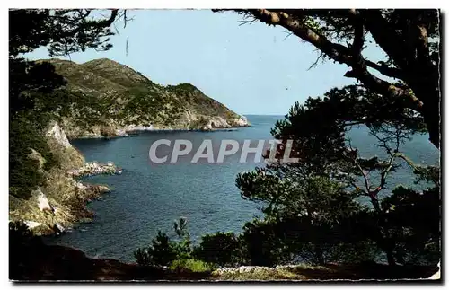 Le Brusc Cartes postales Vue sur le Mont Salvat