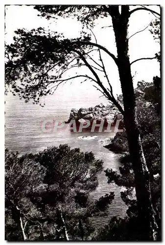 Ile de Porquerolles Cartes postales Bords de mer Vers la grande Cale