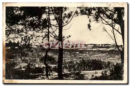 Ile de Re - Rivedoux vu de Foret de Pins - Ansichtskarte AK