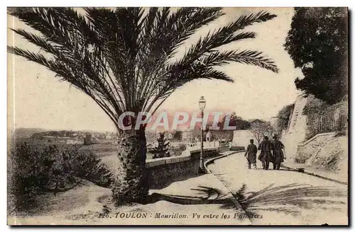 Toulon - Mourillon vu entre les palmiers - Ansichtskarte AK