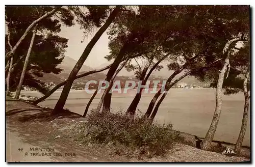 Menton - A Travers Les Pins - Cartes postales