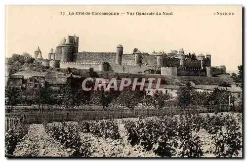 Cite de CArcassonne Ansichtskarte AK Vue generale du nord