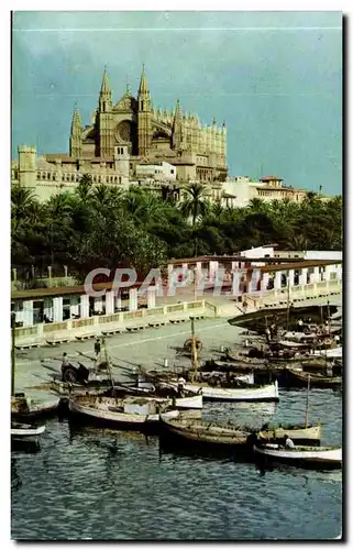 Espagne Espana Spain Palma (Mallorca) Lonja y catedral