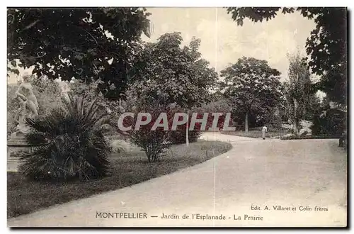 Montpellier - Jardin de l&#39Esplanade - Cartes postales