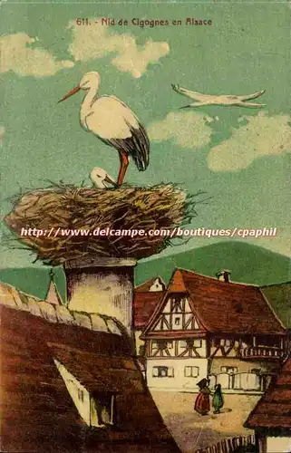 Nid de Cigognes en Alsace - Ansichtskarte AK