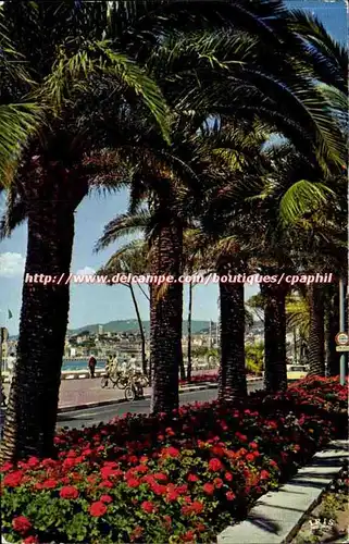 Cannes - Frebch Riviera - La Croisette - Cartes postales