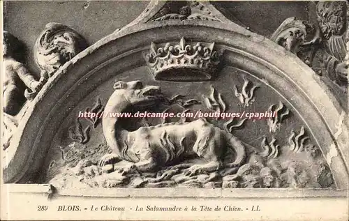 Blois - Le Chateau - La salamandre a la Tete de Chien - Ansichtskarte AK