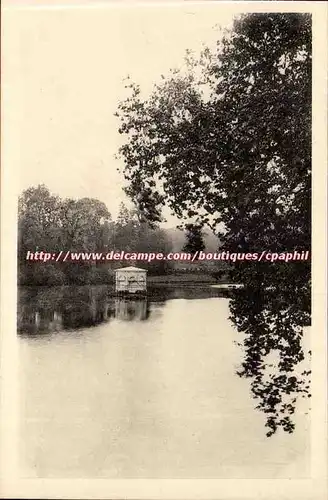 Fontainebleau - L&#39Etang des Carpes - Cartes postales