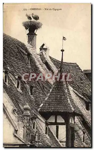 Cartes postales Obernai Nid de cigognes