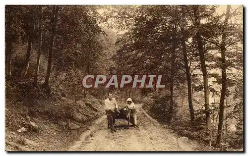 Cartes postales Rochefort Paysage au bois de Falizes ( paysans dans la foret metiers )