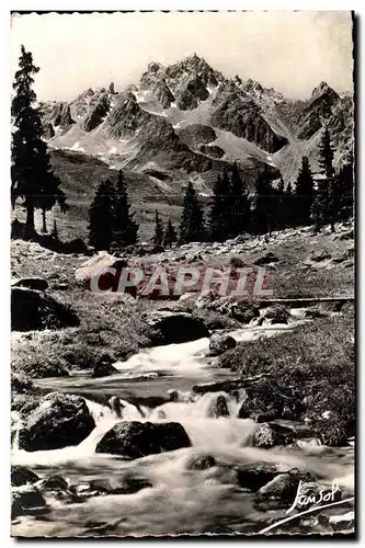 L&#39Ete dans les Alpes - Rochers - sapins et cimes Cartes postales