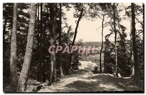 Bagnoles de l&#39Orne Cartes postales moderne Vue prise du roc du chien