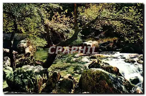 Fontaine de Vaucluse Cartes postales moderne la source par Hautes Eaux