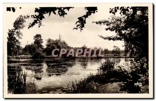 Roye Cartes postales Vue sur les etangs