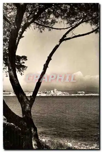 Antibes Ansichtskarte AK Vue sur la vieille ville et le fort carre