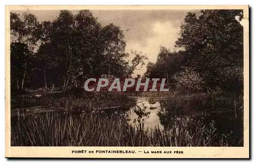 Foret de Fontainebleau Ansichtskarte AK La mare aux fees