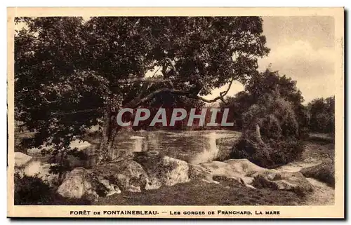 Foret de Fontainebleau Ansichtskarte AK les gorges de Franchard La mare