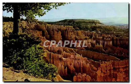 Cartes postales moderne Utah Colorado Boat Mesa and the queen&#39s garden Bryce canyon national park