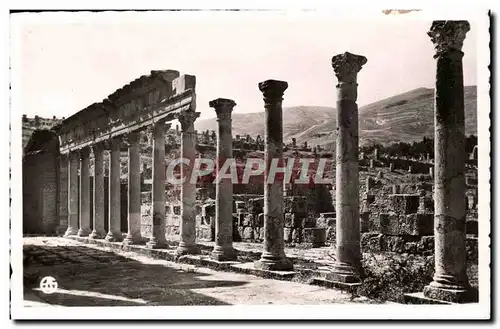 Maroc Djemila Cartes postales Le portique Ouest du temple Septimien