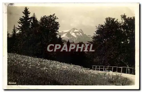 Suisse Cartes postales Heiden