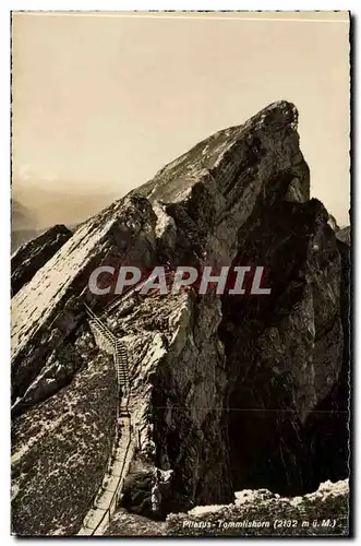 Suisse Cartes postales Pilatus Tommlishorn (2132m)